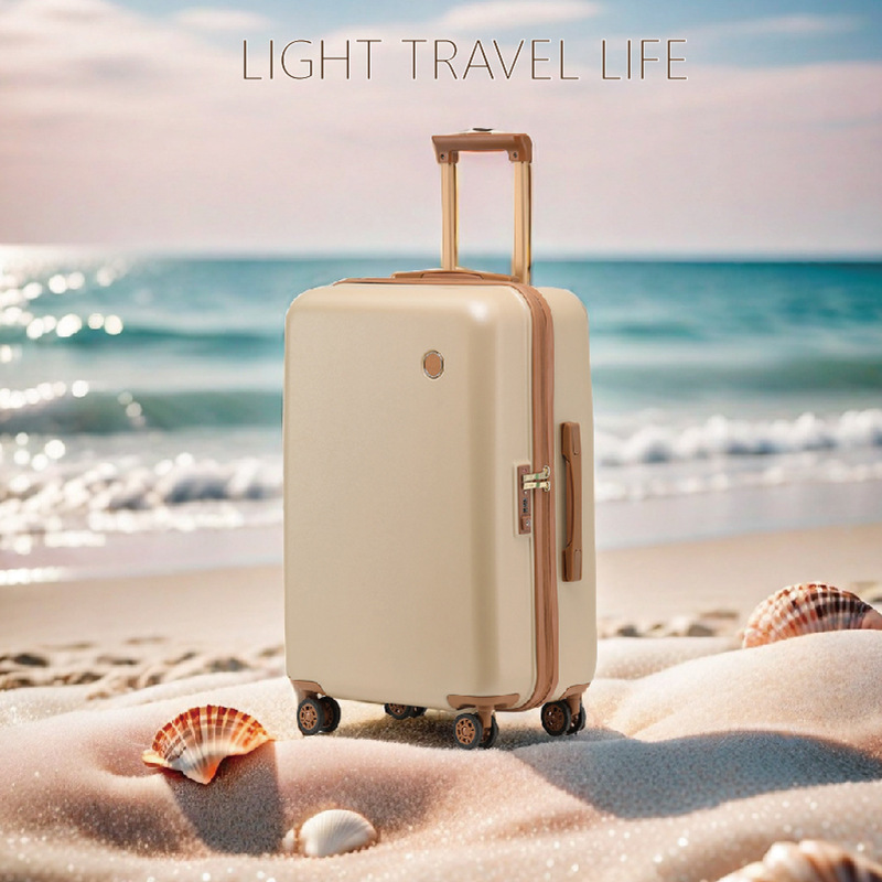 C32440 Durable large capacity password suitcase for men